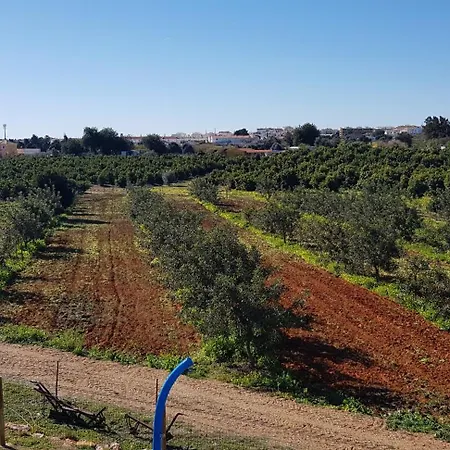 Apartmán Quinta Da Bornacha - Casa C